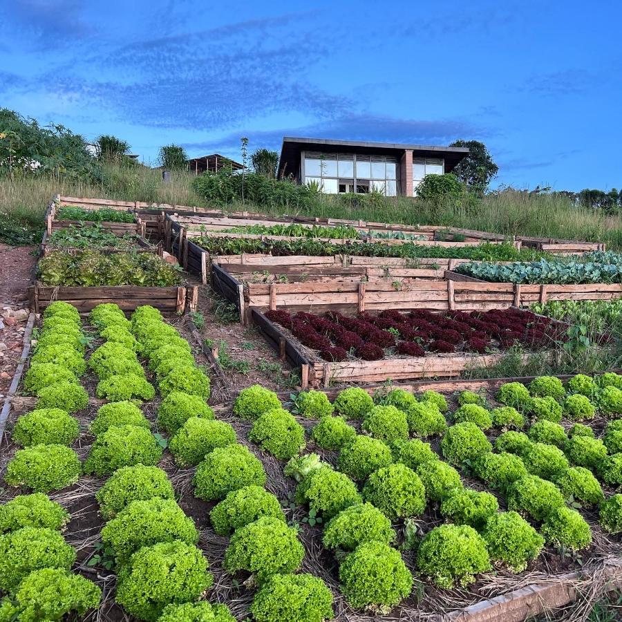 Umva Muhazi Villa ภายนอก รูปภาพ